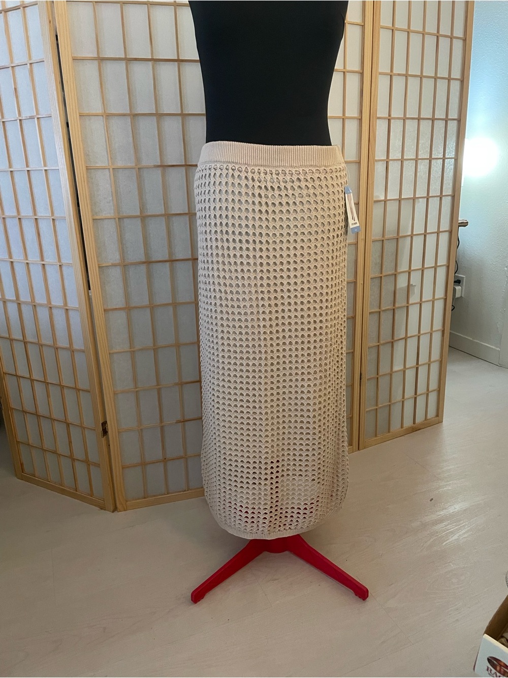 Steve Madden Cream Maxi Skirt nwt